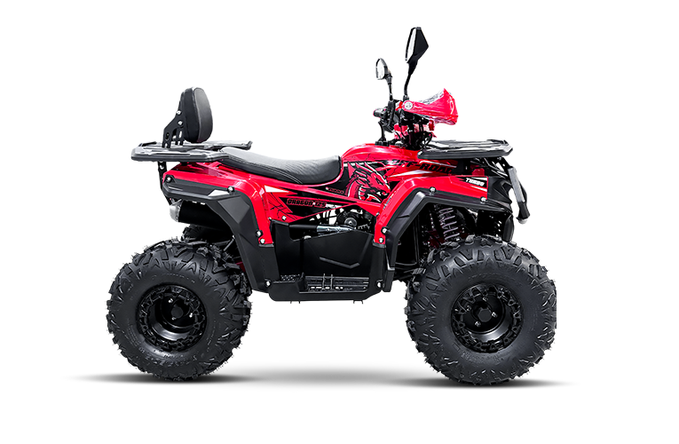 DRAGON 125