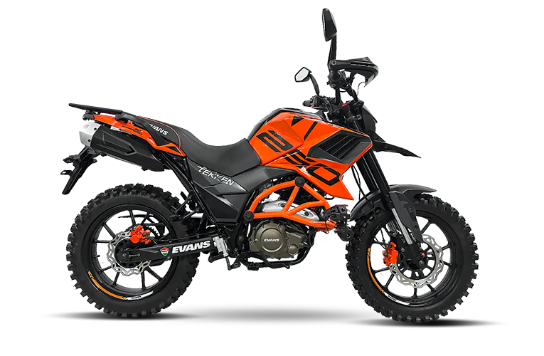 TEKKEN 250R